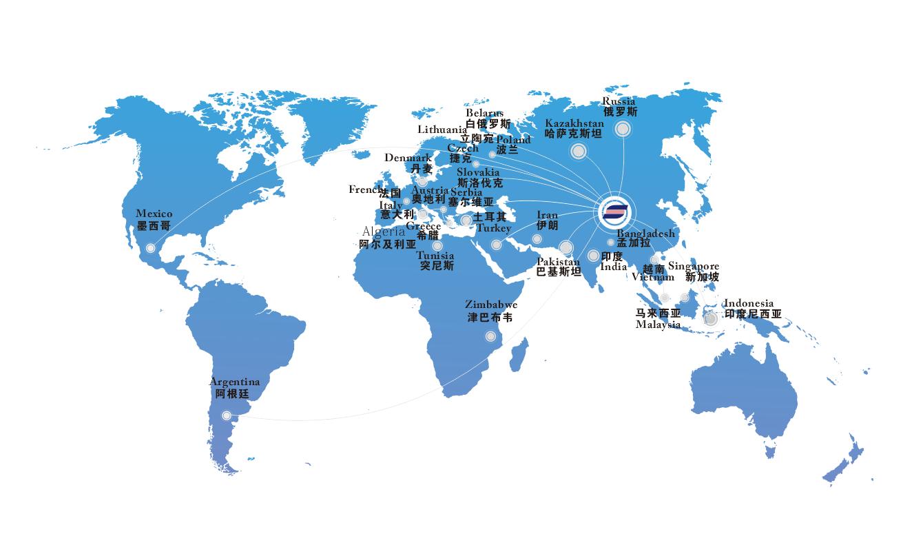 Domestic and Overseas Service Network(1)